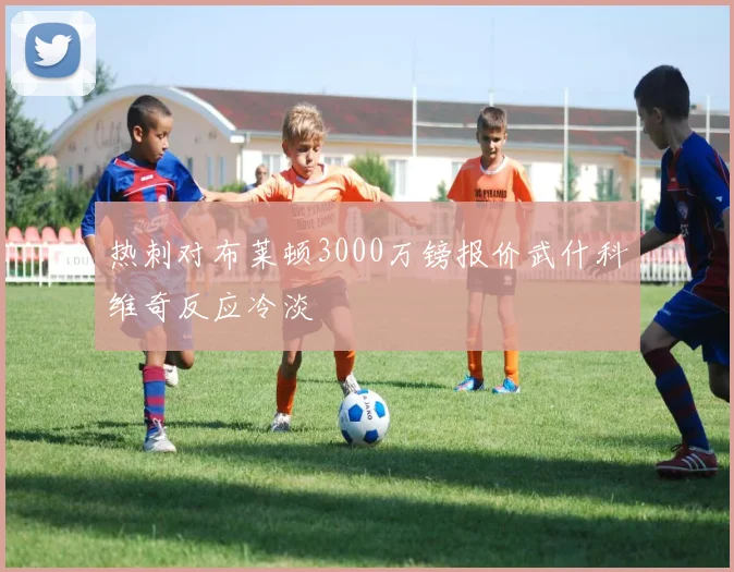 热刺对布莱顿3000万镑报价武什科维奇反应冷淡
