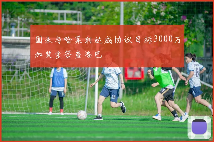 国米与哈莱利达成协议目标3000万加奖金签查洛巴